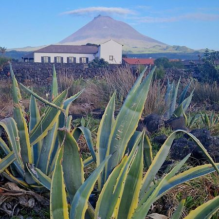 Solar Dos Limas Villa Criacao Velha Eksteriør bilde